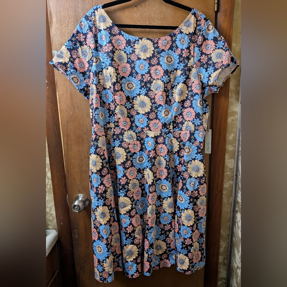 Eva Rose Blue and Pink Casual Flutter Sleeve Sundress